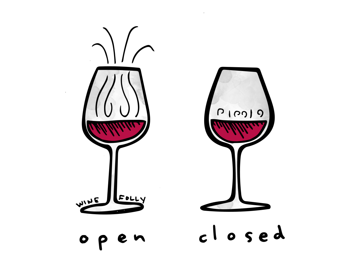 10 Wine Tips That’ll Make You Sound Like A Badass